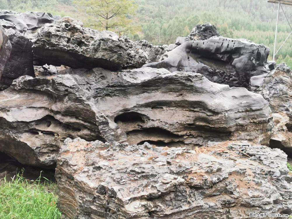 风景石、假山石大量有货,有需要的欢迎联系 - 新手上路 - 鄂州生活社区 - 鄂州28生活网 ez.28life.com