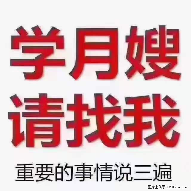 为什么要学习月嫂,育婴师? - 其他广告 - 广告专区 - 鄂州分类信息 - 鄂州28生活网 ez.28life.com