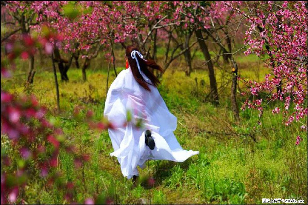 【春天,广西桂林灌阳县向您发出邀请!】官庄村有个醉美的桃花园 - 游山玩水 - 鄂州生活社区 - 鄂州28生活网 ez.28life.com