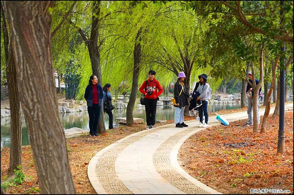 【春天,广西桂林灌阳县向您发出邀请!】江口老街又逢春 - 游山玩水 - 鄂州生活社区 - 鄂州28生活网 ez.28life.com