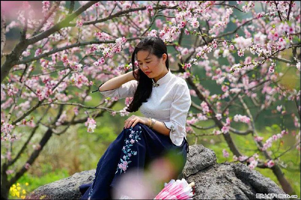 【春天，广西桂林灌阳县向您发出邀请！】望月岭上桃花开 - 游山玩水 - 鄂州生活社区 - 鄂州28生活网 ez.28life.com