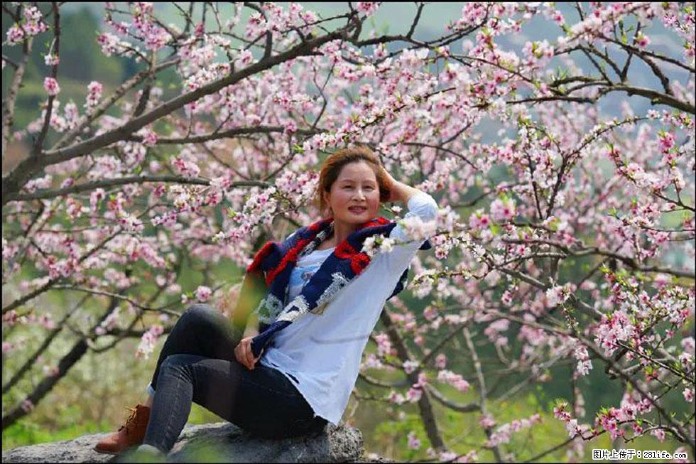 【春天，广西桂林灌阳县向您发出邀请！】望月岭上桃花开 - 游山玩水 - 鄂州生活社区 - 鄂州28生活网 ez.28life.com