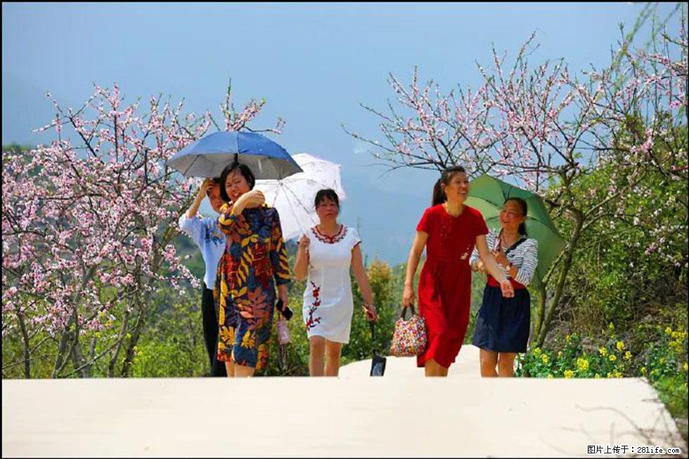 【春天，广西桂林灌阳县向您发出邀请！】望月岭上桃花开 - 游山玩水 - 鄂州生活社区 - 鄂州28生活网 ez.28life.com
