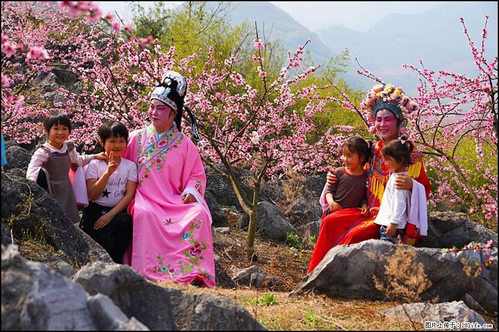 【春天，广西桂林灌阳县向您发出邀请！】望月岭上桃花开 - 游山玩水 - 鄂州生活社区 - 鄂州28生活网 ez.28life.com