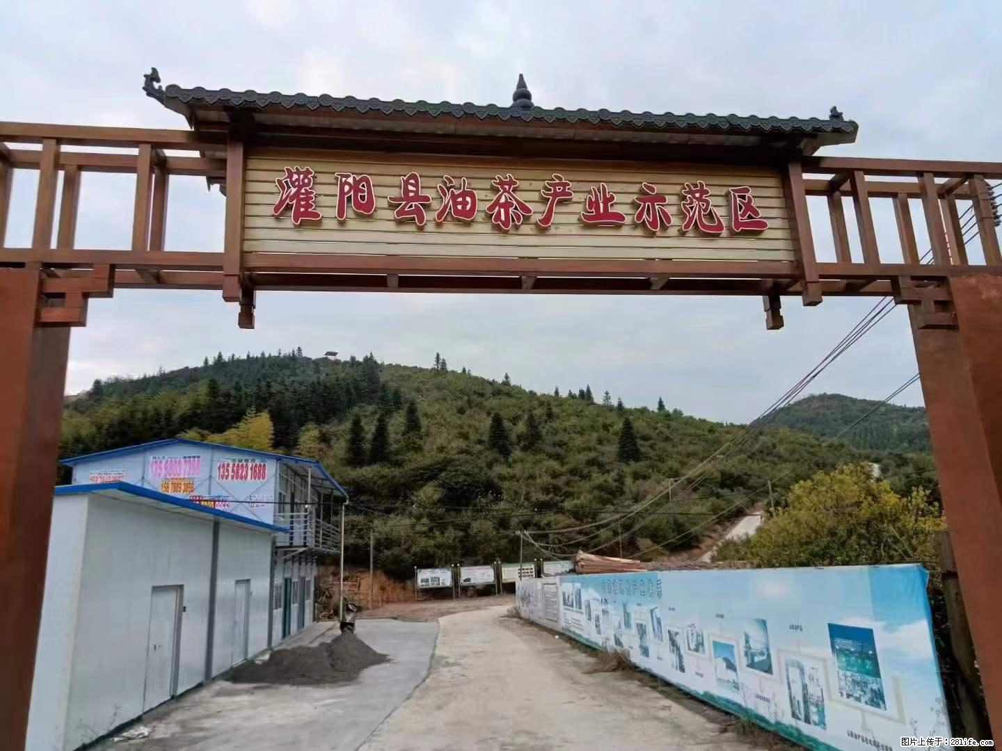 【灌阳县油茶产业示范区】一个有着充实的精神生活的人,对待身外之物自会有一种淡泊的态度 - 美食天地 - 鄂州生活社区 - 鄂州28生活网 ez.28life.com