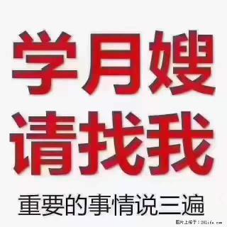 为什么要学习月嫂,育婴师? - 鄂州28生活网 ez.28life.com