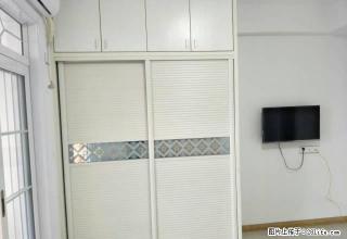 鄂高附近竹林广场 关键舒适 - 鄂州28生活网 ez.28life.com