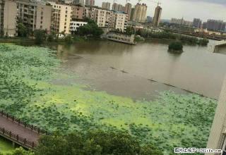 凤凰派出所院子内!一室一厅!安全系数高 - 鄂州28生活网 ez.28life.com