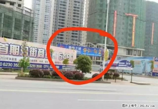 武汉东对面翰林苑小区,高层电梯房出租 - 房屋出租 - 房屋租售 - 鄂州分类信息 - 鄂州28生活网 ez.28life.com