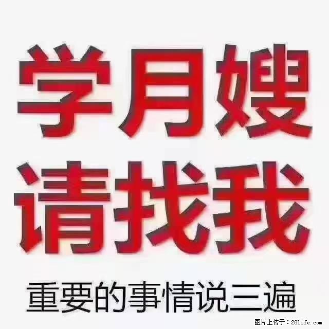 【招聘】月嫂,上海徐汇区 - 职场交流 - 鄂州生活社区 - 鄂州28生活网 ez.28life.com