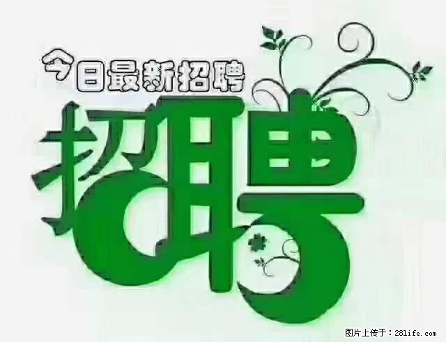 上海隔离酒店招人:55岁以下 男女不限 - 职场交流 - 鄂州生活社区 - 鄂州28生活网 ez.28life.com
