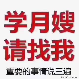 【招聘】月嫂，上海徐汇区 - 鄂州28生活网 ez.28life.com