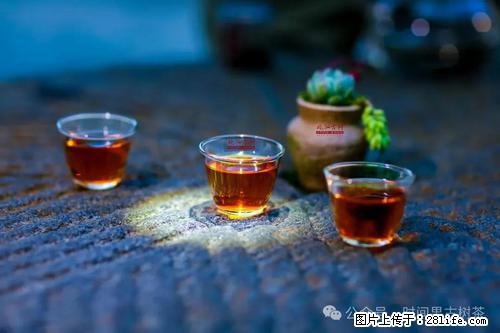 时间果百年古树2025年春红茶 - 购物交流 - 鄂州生活社区 - 鄂州28生活网 ez.28life.com