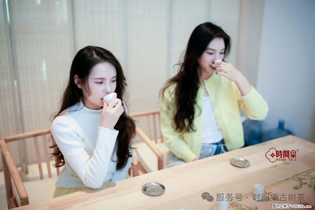 时间果百年古树龙珠普洱生茶 - 购物交流 - 鄂州生活社区 - 鄂州28生活网 ez.28life.com