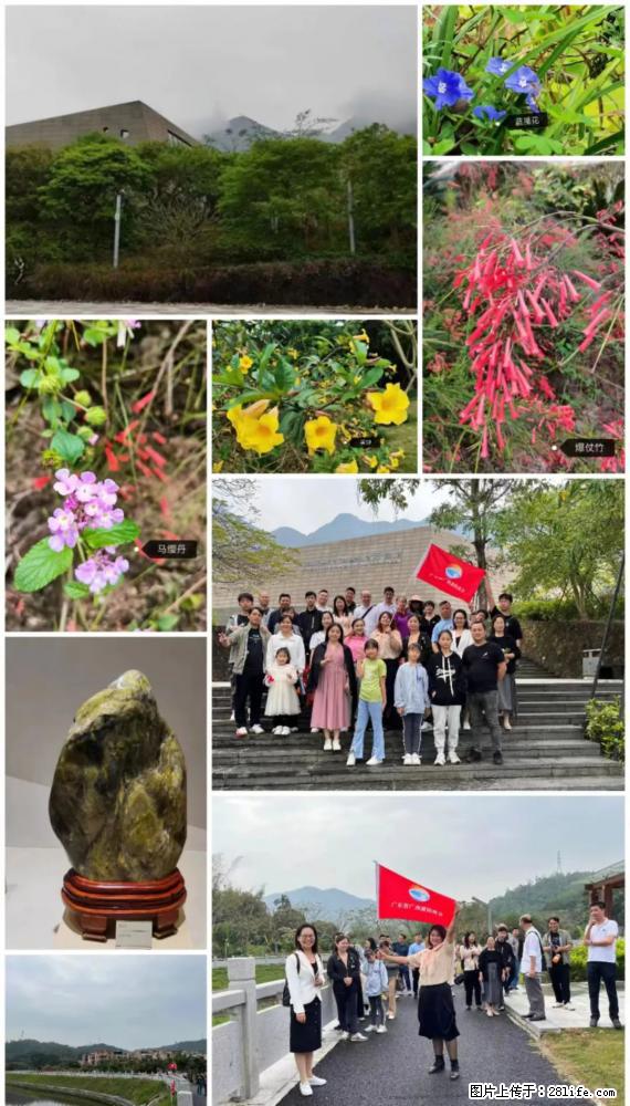 “粤灌文化 美好生活”油茶文化主题活动在广东深圳成功举办 - 鄂州生活资讯 - 鄂州28生活网 ez.28life.com