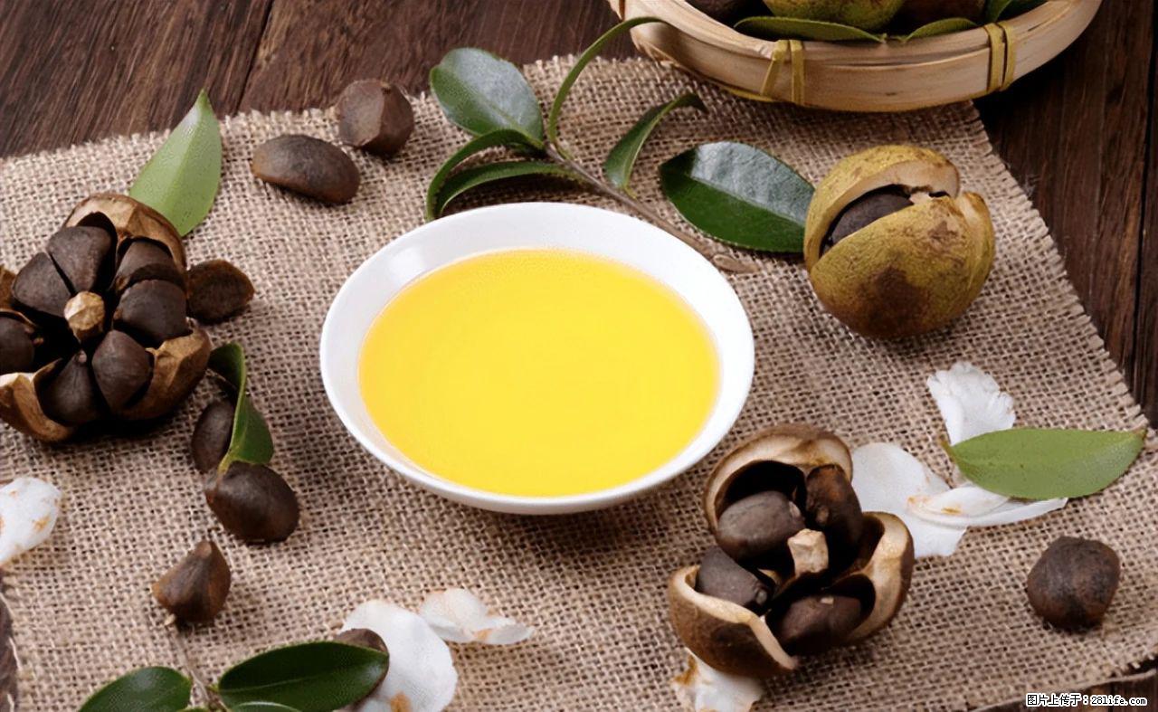 揭秘茶油的5大核心营养成分!被称为人体健康的“守护盾”! - 鄂州生活资讯 - 鄂州28生活网 ez.28life.com