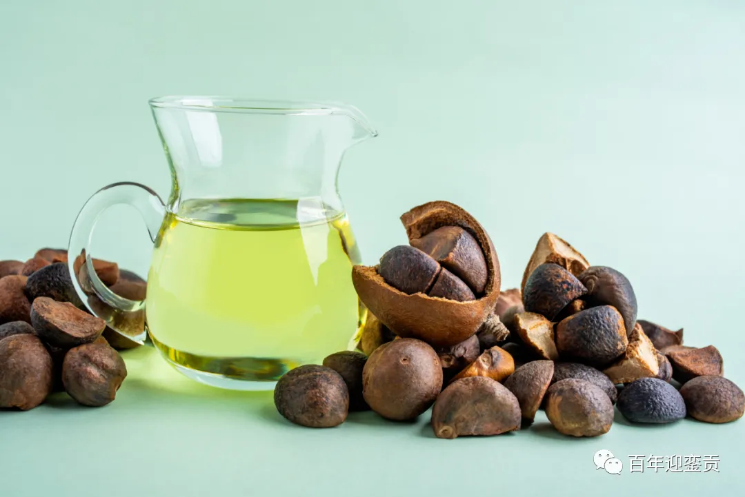 世界没有真相,只有认知,最好的食用油是中国的山茶油! - 鄂州生活资讯 - 鄂州28生活网 ez.28life.com
