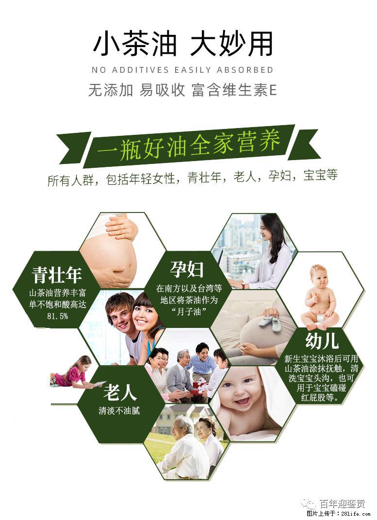 世界没有真相,只有认知,最好的食用油是中国的山茶油! - 鄂州生活资讯 - 鄂州28生活网 ez.28life.com