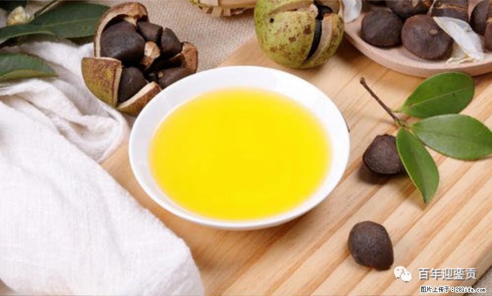 世界没有真相,只有认知,最好的食用油是中国的山茶油! - 鄂州生活资讯 - 鄂州28生活网 ez.28life.com