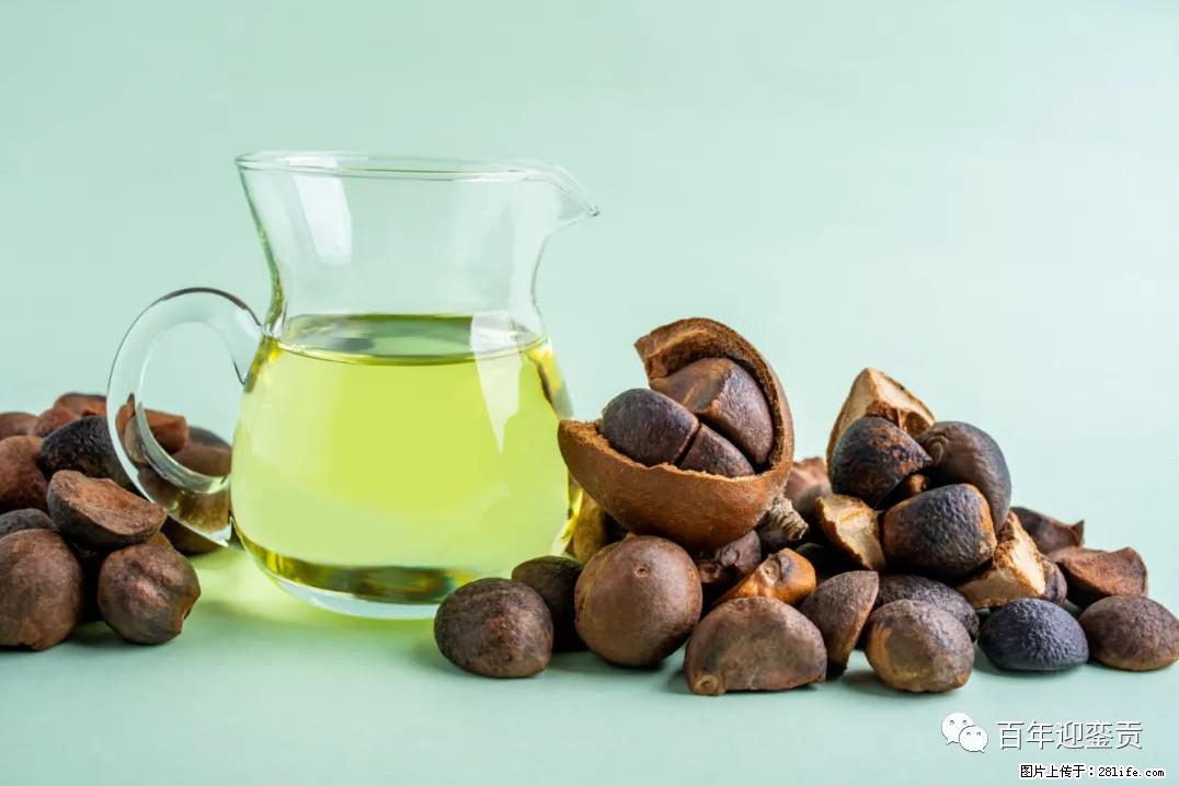 世界没有真相，只有认知，最好的食用油是中国的山茶油！ - 鄂州生活资讯 - 鄂州28生活网 ez.28life.com