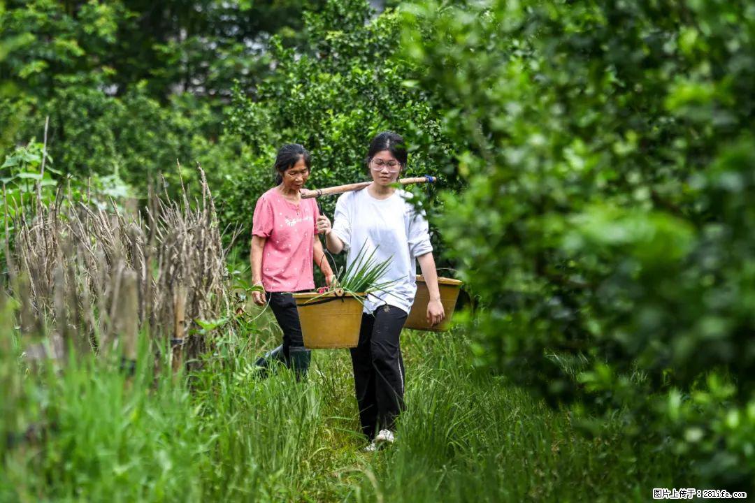 全网追的“扁担女孩”,找了一份暑假工,时薪12元 - 鄂州生活资讯 - 鄂州28生活网 ez.28life.com