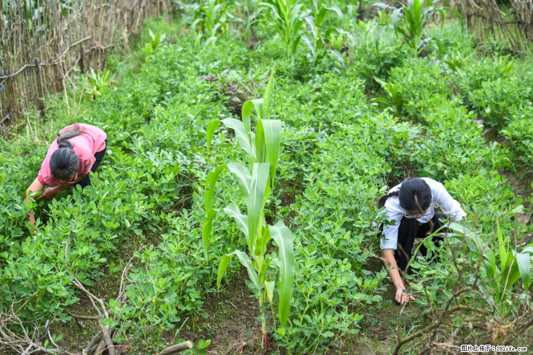 全网追的“扁担女孩”,找了一份暑假工,时薪12元 - 鄂州生活资讯 - 鄂州28生活网 ez.28life.com