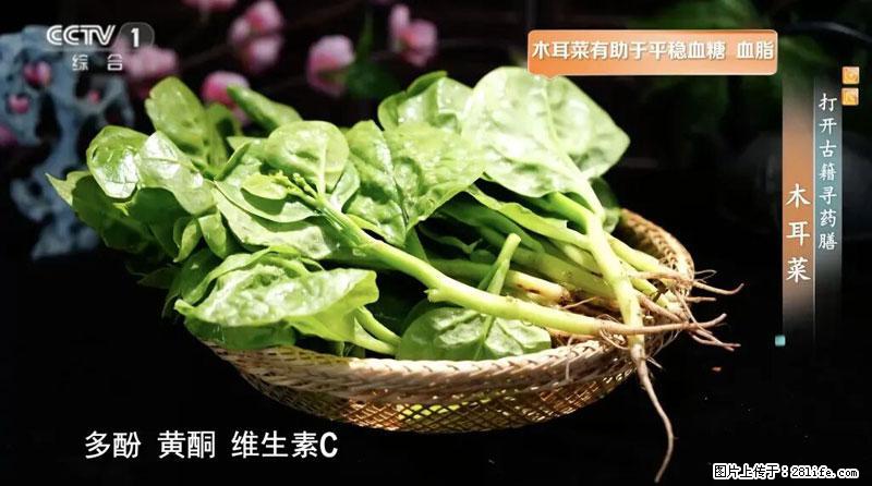 比牛奶补钙还厉害!凉血解毒、稳血糖...这菜冬天必吃,很多人却当草 - 鄂州生活资讯 - 鄂州28生活网 ez.28life.com