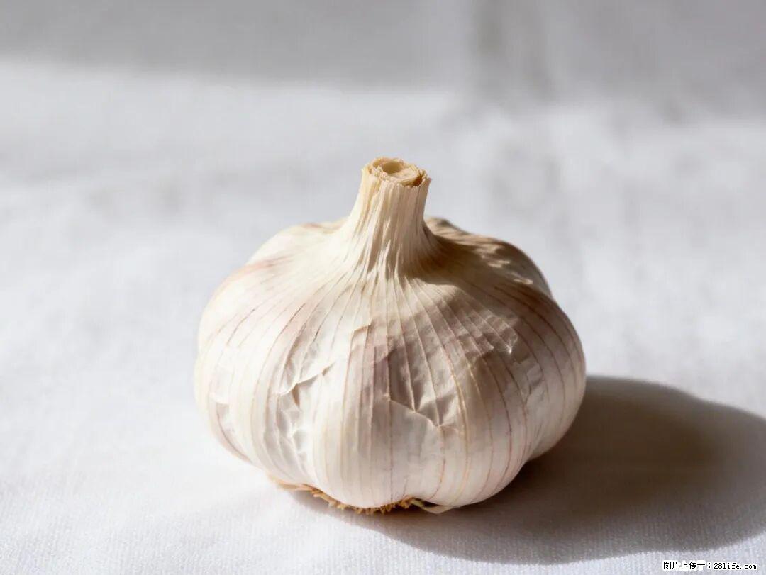 关于大蒜,除了“天然抗生素”,这4个谣言更该警惕! - 鄂州生活资讯 - 鄂州28生活网 ez.28life.com