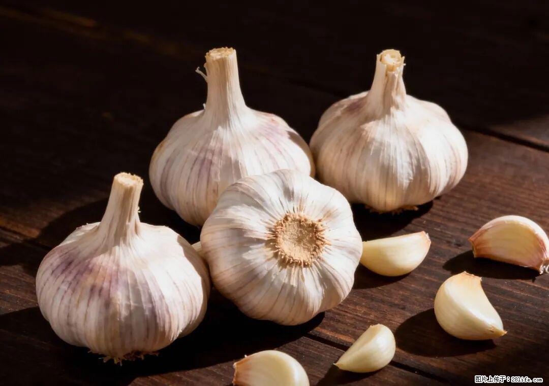 关于大蒜,除了“天然抗生素”,这4个谣言更该警惕! - 鄂州生活资讯 - 鄂州28生活网 ez.28life.com